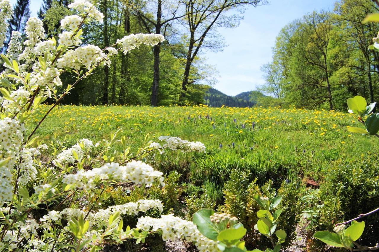 Naturhotel Schloss Kassegg ザンクト・ガレン エクステリア 写真